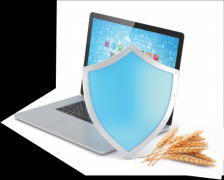 中华五千年文明史中